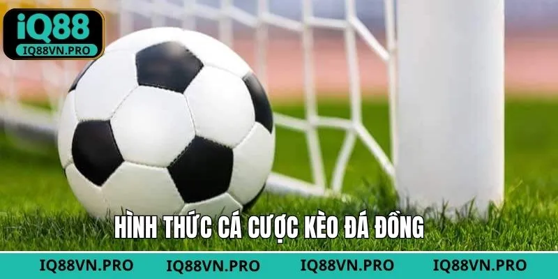 Những hình thức vào tiền kèo đá đồng dành cho hội viên