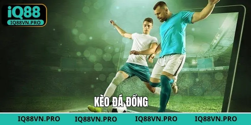 Kèo Đá Đồng - Lựa Chọn Cá Độ Bóng Đá Hấp Dẫn Tại IQ88