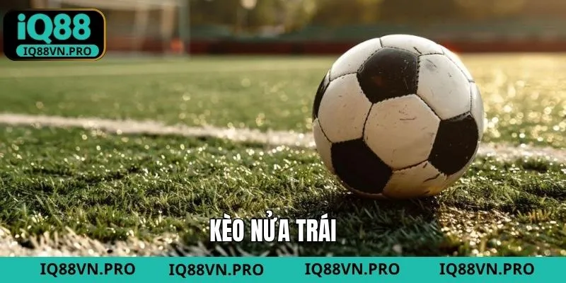 Kèo Nửa Trái IQ88: Cách Bắt Chuẩn Và Tối Ưu Tỷ Lệ Thắng
