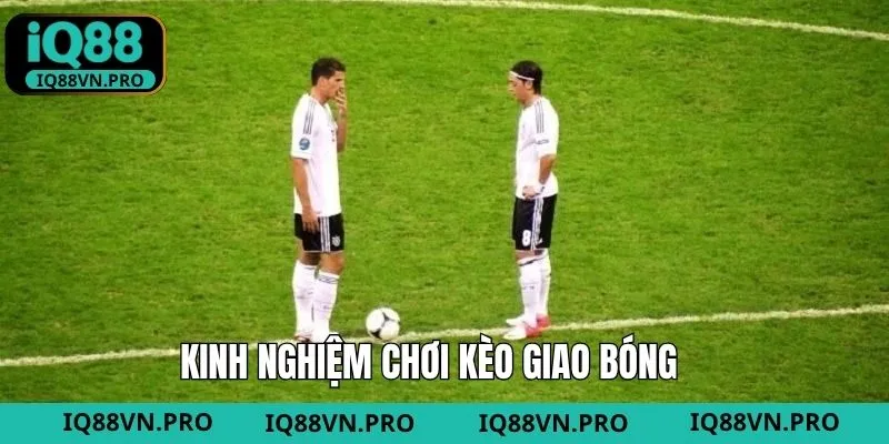 Bí quyết chọn cược giao bóng dễ thắng từ cao thủ