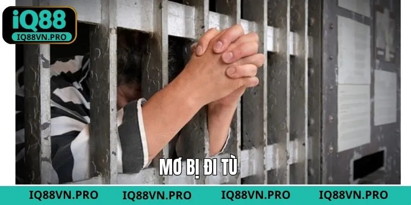 Mơ Bị Đi Tù Ý Nghĩa Gì? Đánh Đề Nào Để May Mắn Từ IQ88