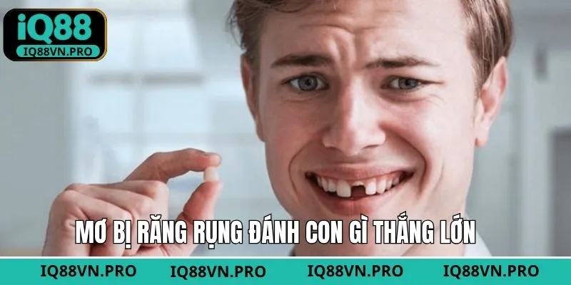 Những con số mà dân chơi lô đề nên tham khảo