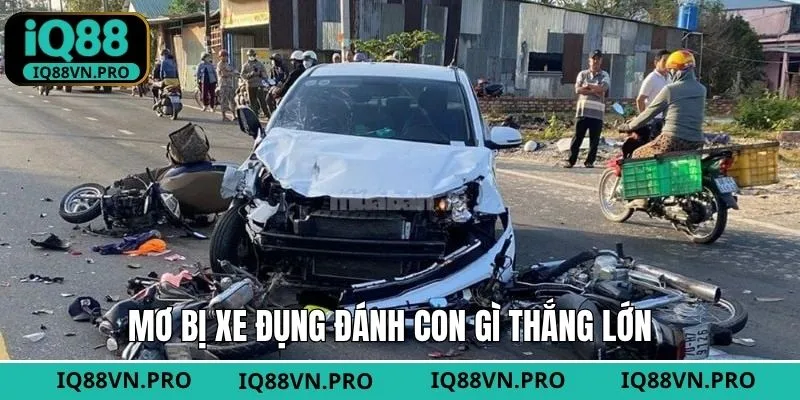Dãy số thường liên quan tới giấc mơ bị tai nạn