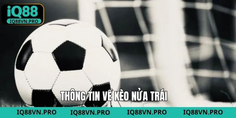 Tìm hiểu chung các thông tin cơ bản của kèo nửa trái 