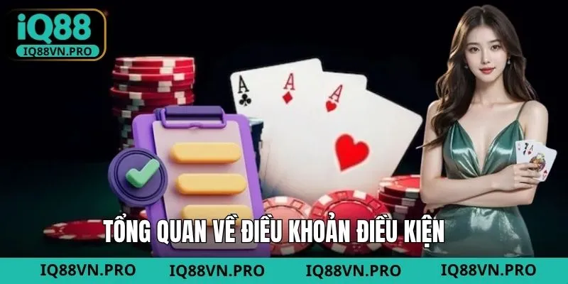 Thông tin tổng về các điều khoản của IQ88