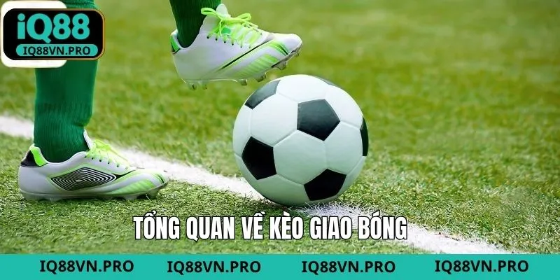 Đôi nét về hình thức cược hấp dẫn tại sân chơi