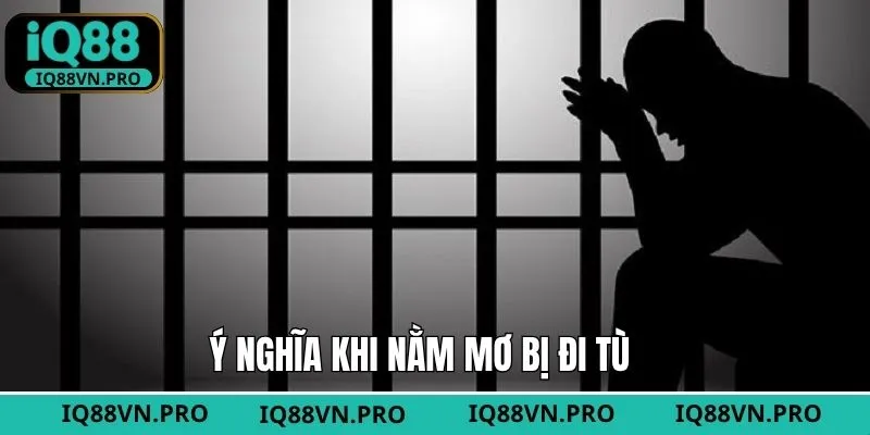 Sơ lược thông điệp của chiêm bao đi tù